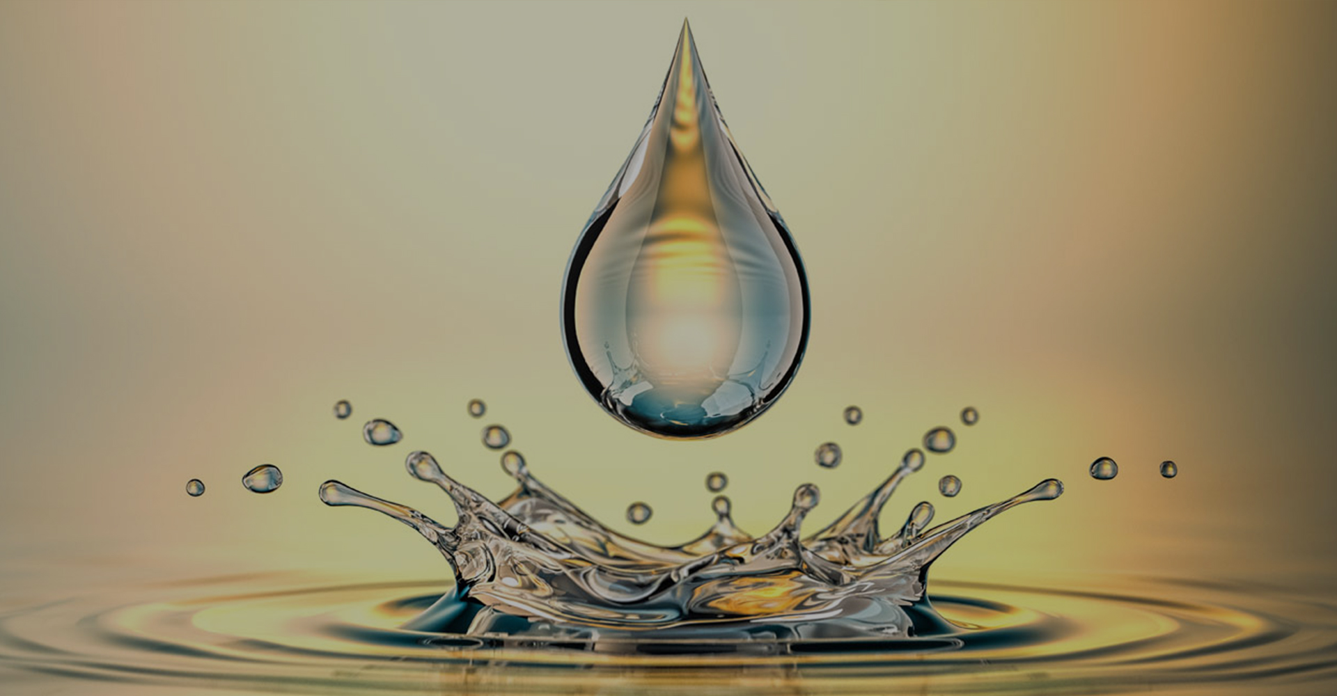 Comercializadora de Combustibles en Monterrey